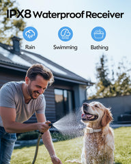 Jugbow beige receiver on a dog demonstrating secure fit and comfort