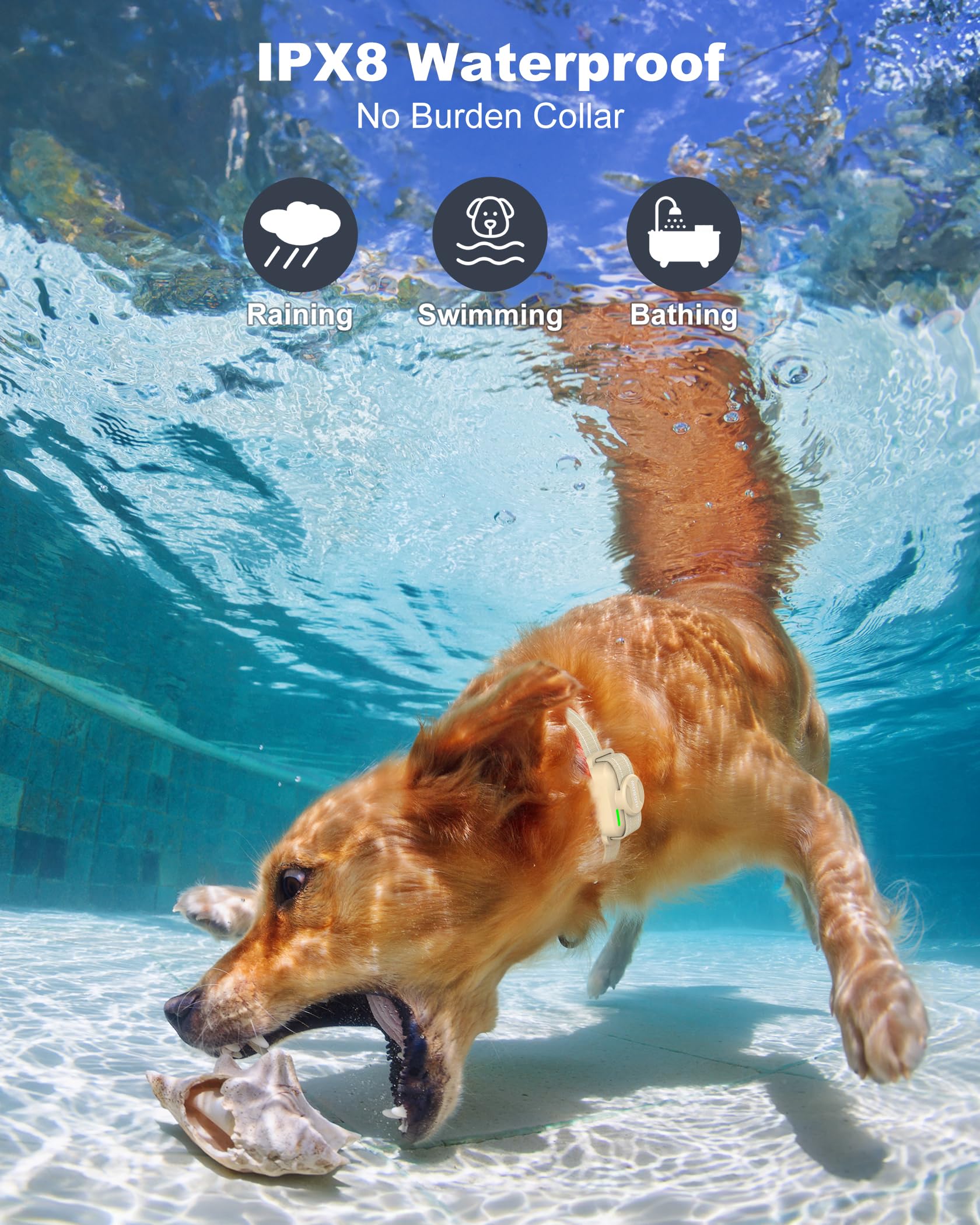 Jugbow IPX8 waterproof collar ready for rain, pools, and muddy adventures.