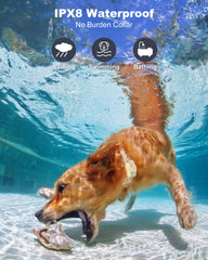 Jugbow IPX8 waterproof collar ready for rain, pools, and muddy adventures.