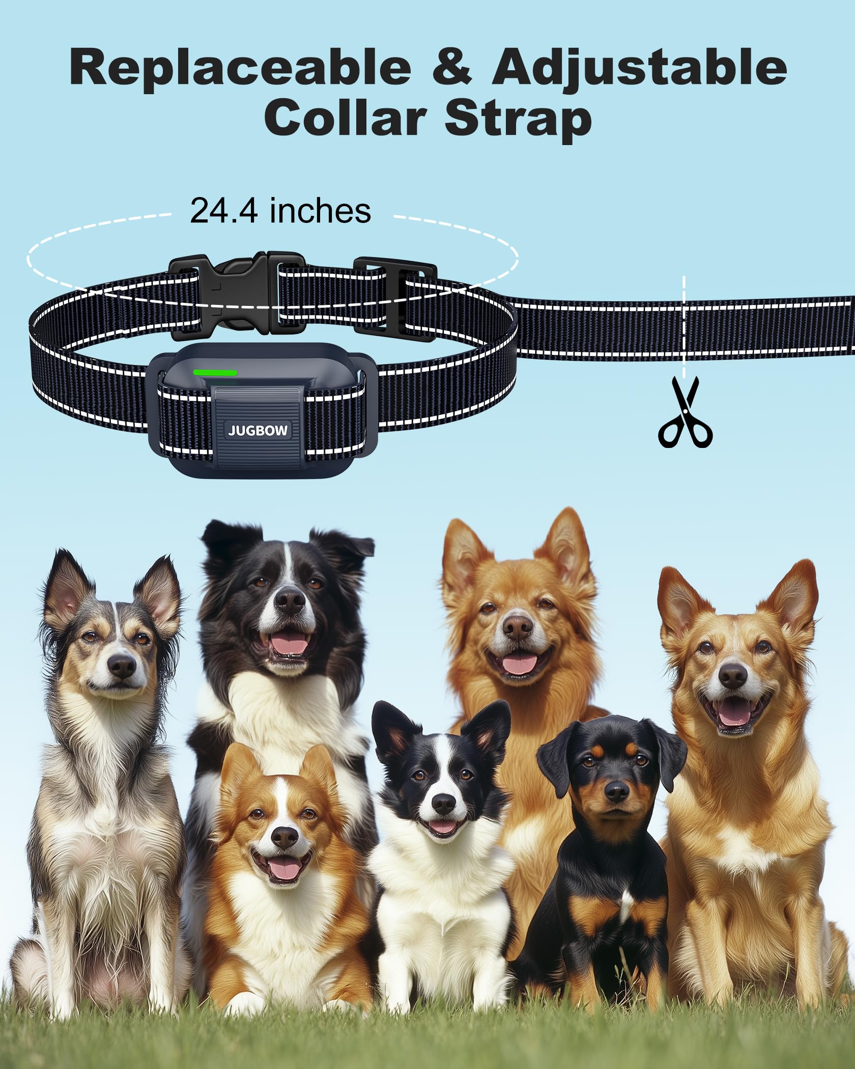 Jugbow dog training outdoors 4200ft range demonstrates far-range control during outdoor sessions.