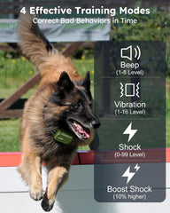 Jugbow dual-channel training collar enables two-dog sessions.