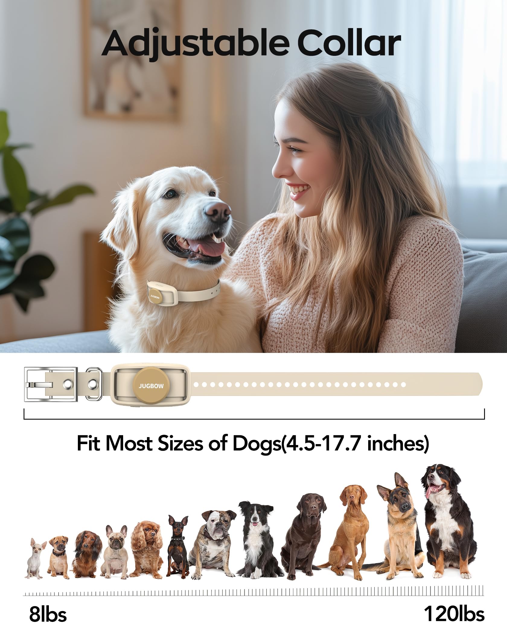 Jugbow dual-channel training allows two dogs to be trained simultaneously