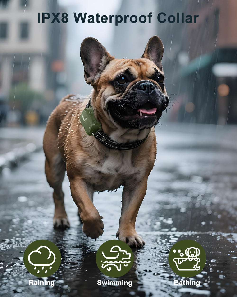 Jugbow four training modes offer customizable options for gentle cues and corrections