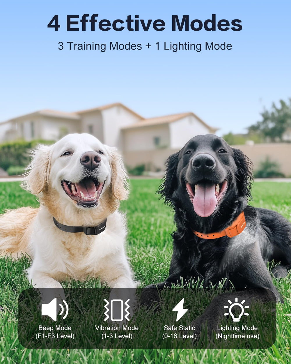 Jugbow LED light on collar improves night visibility for safer walks.