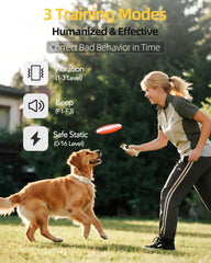 Jugbow Shock Collar with LED light helps locate your dog during night training.