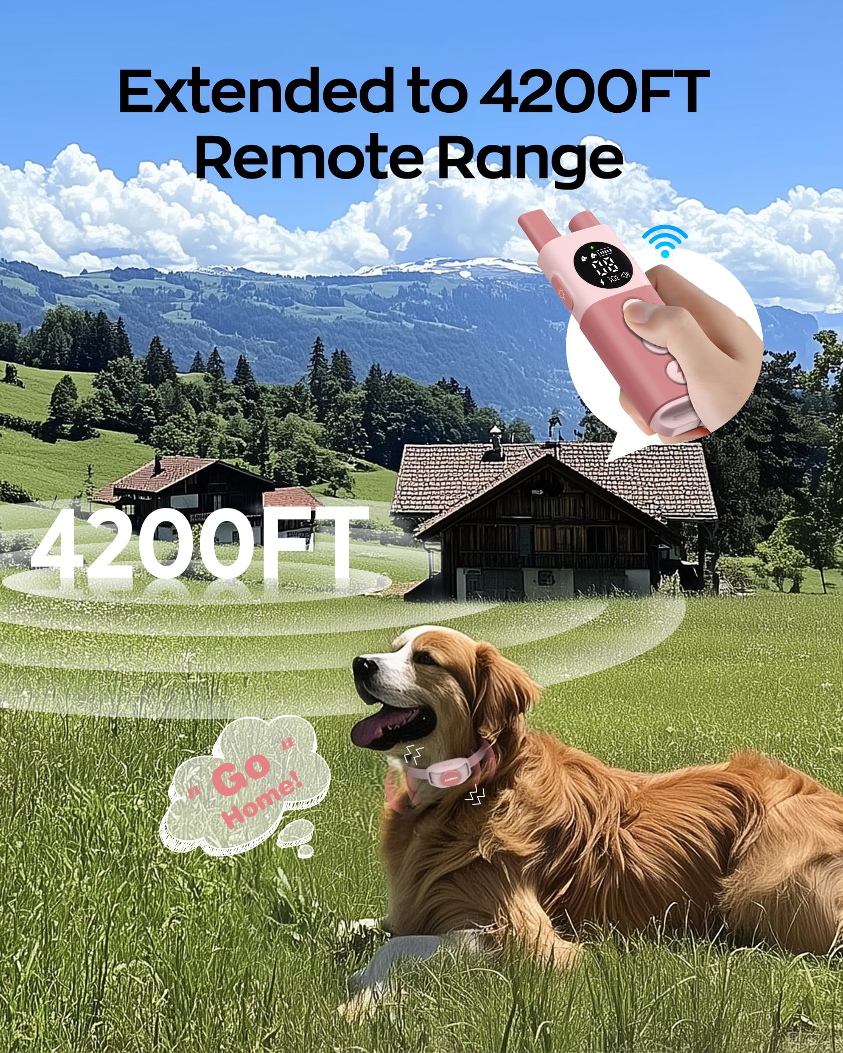 Jugbow Shock Collar two-channel image enables training two dogs simultaneously.