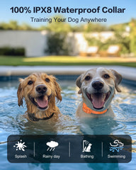 Jugbow two-channel training lets you manage two dogs simultaneously.