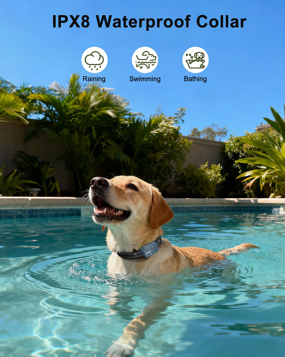 Jugbow two-dog setup with one remote simplifies multi-pet training