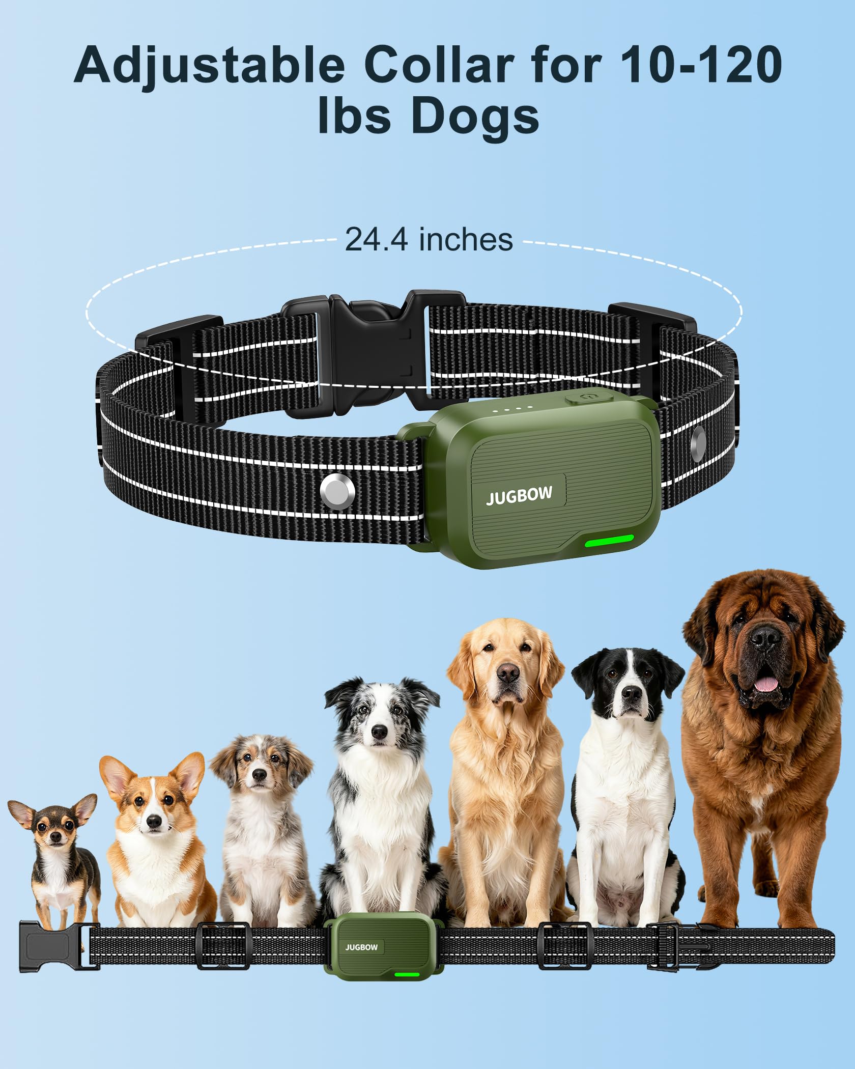 Jugbow system supports two dogs with one remote for multi-dog households