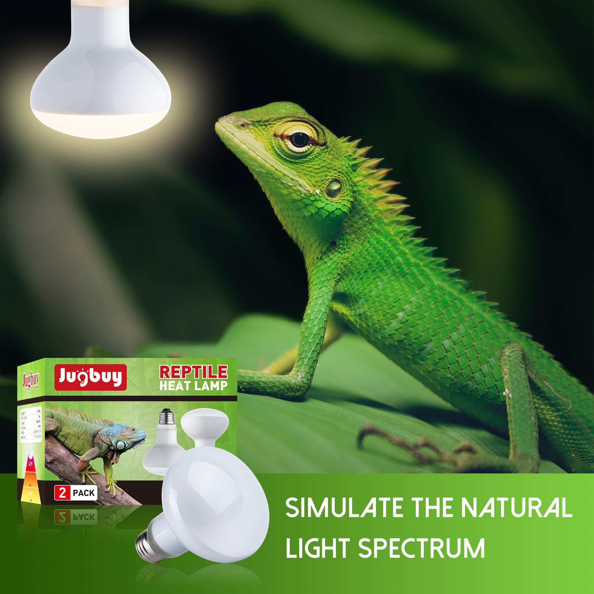 Jugbuy basking spot light rays warming bearded dragon habitat.