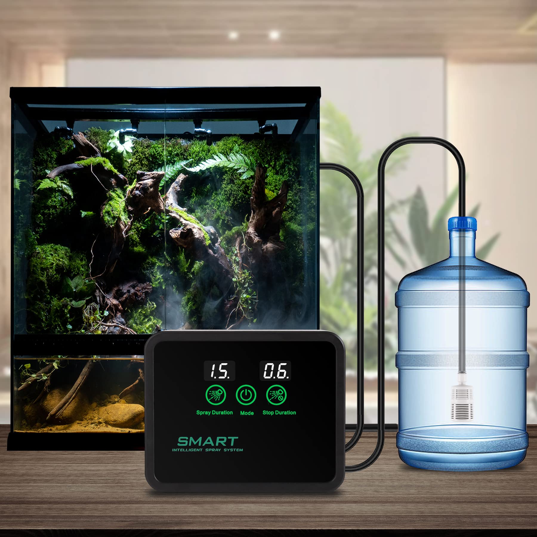 Juilsioa versatile terrarium setup adapts to various reptiles
