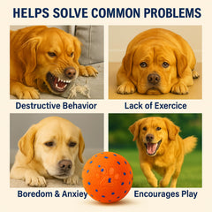jujingcw ball in action demonstrates self-rolling and bouncing fun for active dogs.