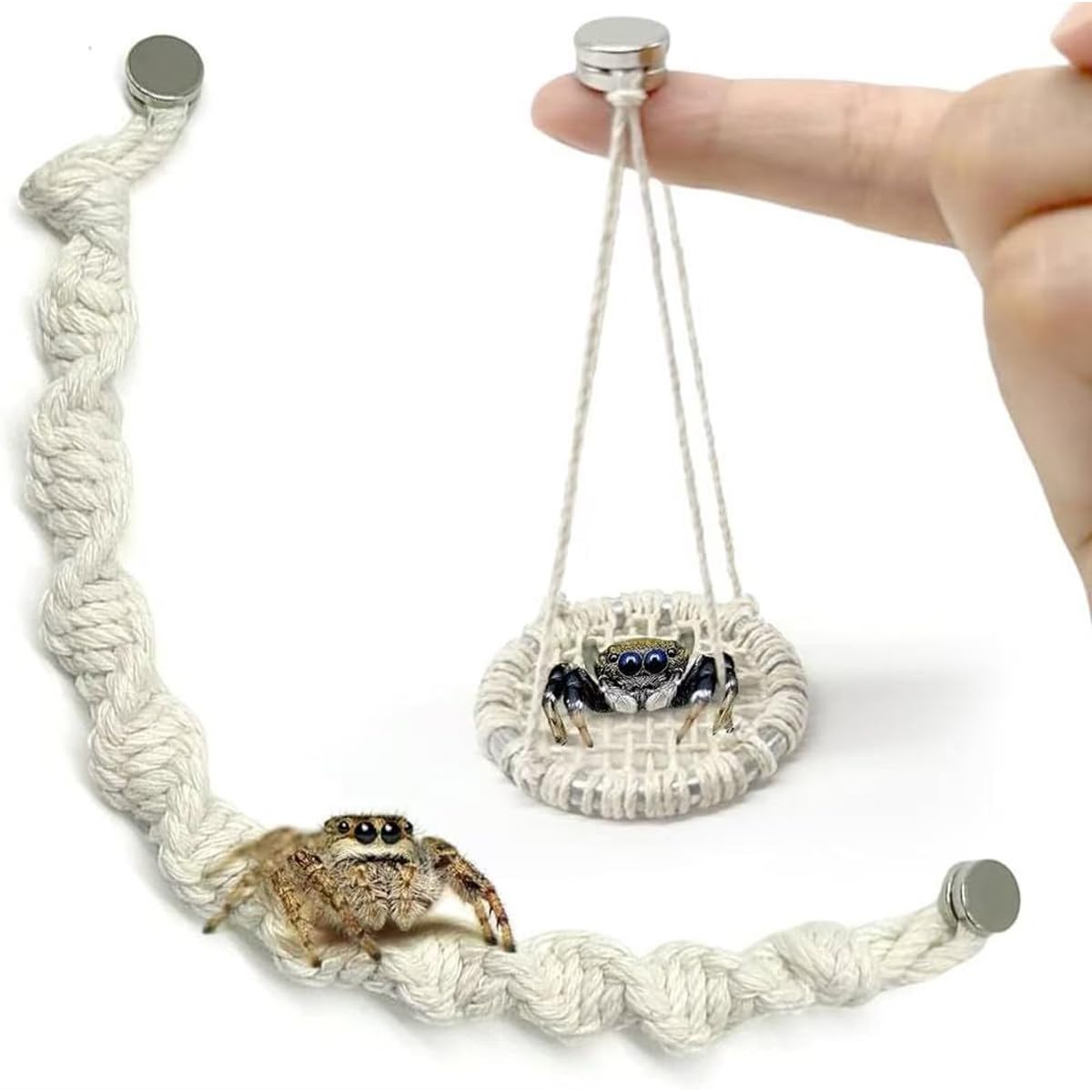 Julang jumping spider bridge 10-inch rope ready for safe climbing.