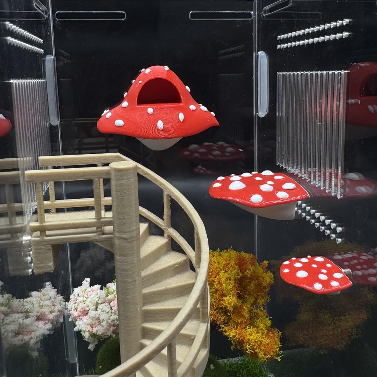 Julang jumping spider platform 1in mushroom surface compact for small habitats.