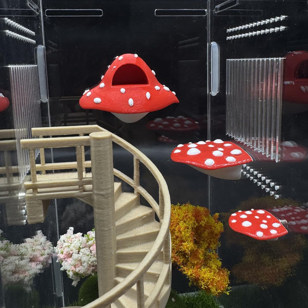 Julang jumping spider platform 1in mushroom surface compact for small habitats.