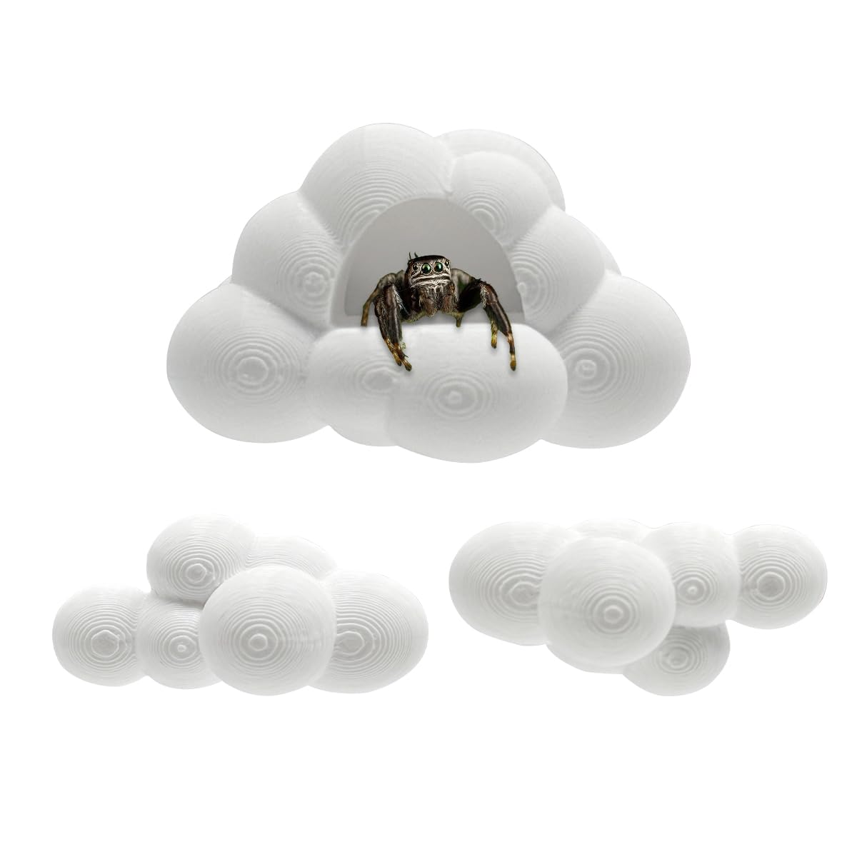 Julang jumping spider platform 2.16in with magnetic mount for secure enclosure attachment.