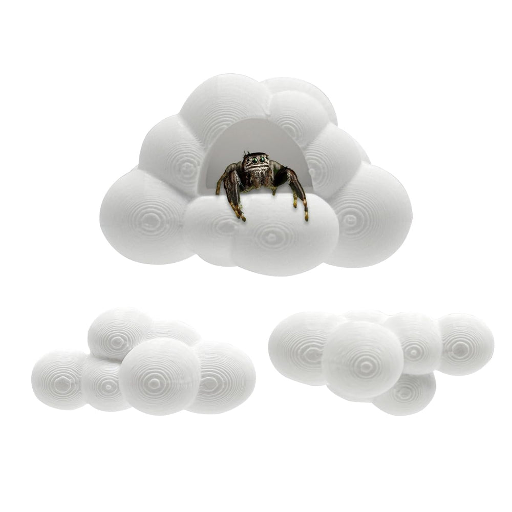 Julang jumping spider platform 2.16in with magnetic mount for secure enclosure attachment.