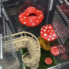 Julang jumping spider platform magnetic-mount securely attaches to enclosure walls.