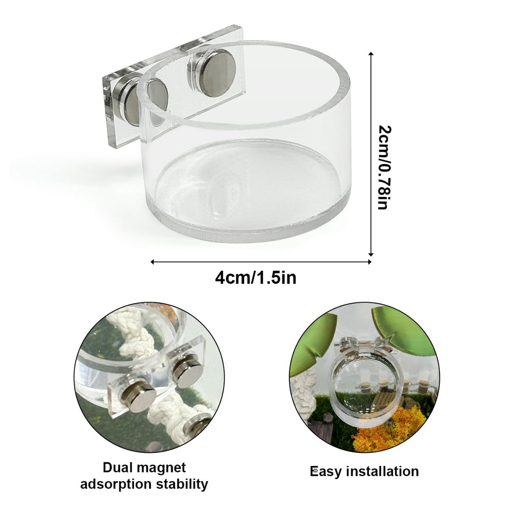 Julang Magnetic Water Bowl provides reusable, non-toxic hydration option for tiny reptiles.