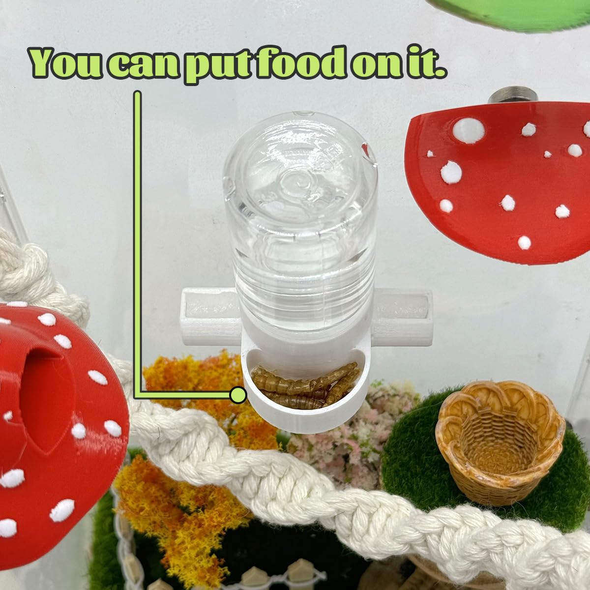 Julang micro-ecology aquascape-fit suits compact habitats