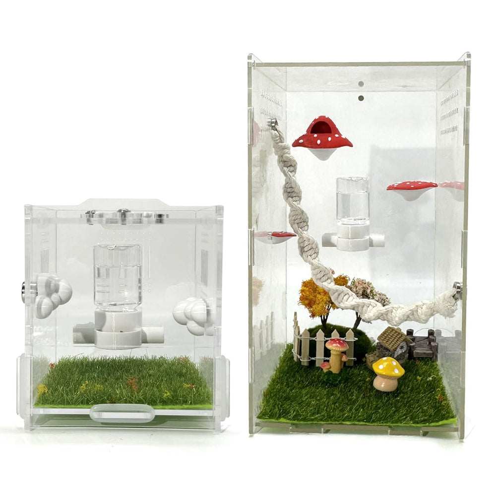 Julang small pet enclosure accessory versatile for jumping spiders and mantises