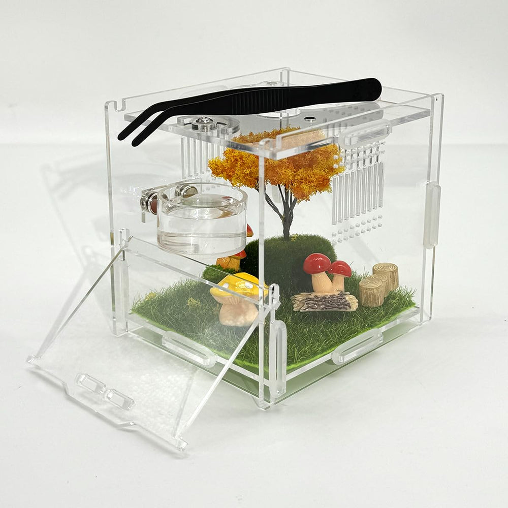 Julang Small Reptile Feeding Box Compatibility supports multiple species like geckos and tarantulas.