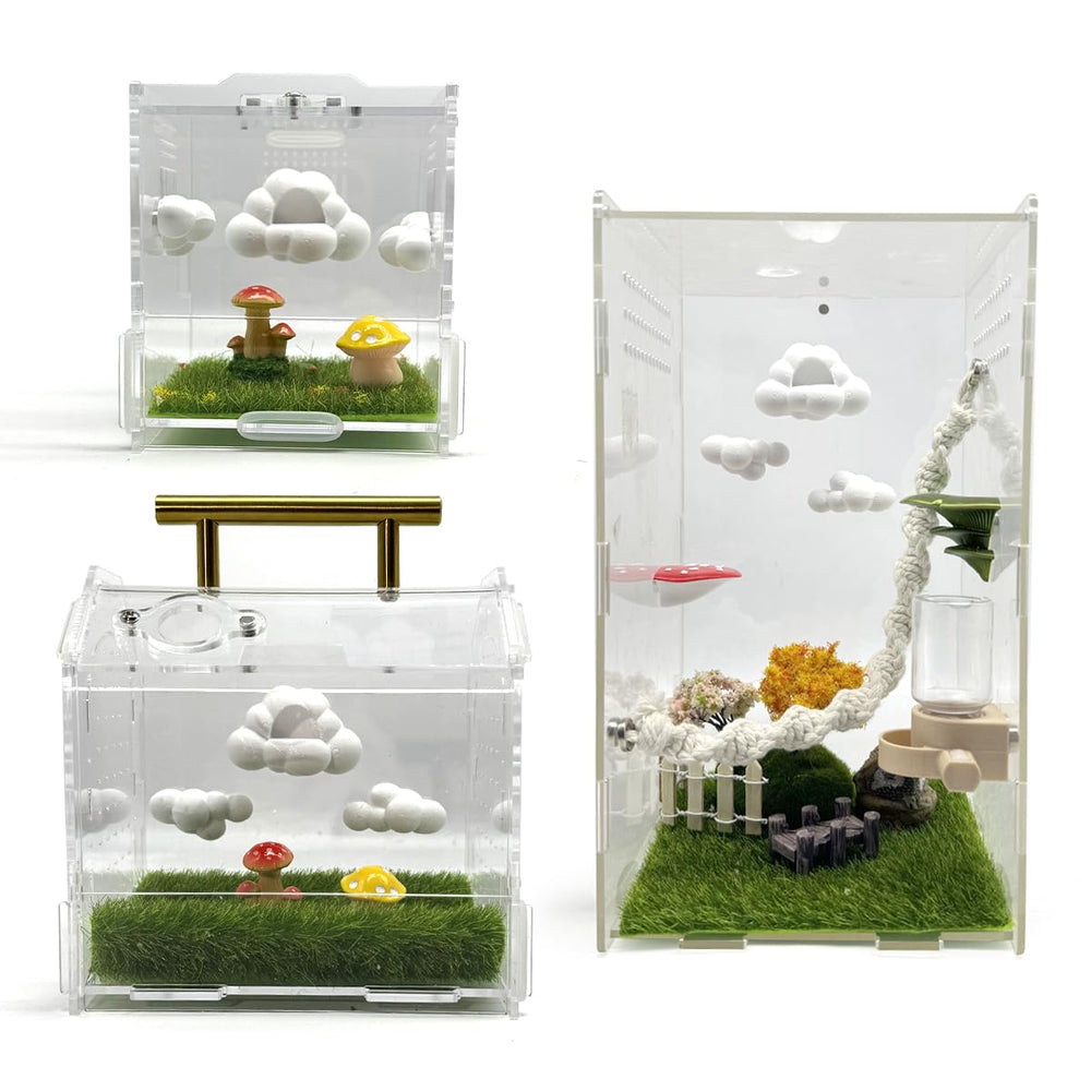 Julang spider enclosure decoration idea image showing mix-and-match styling options.
