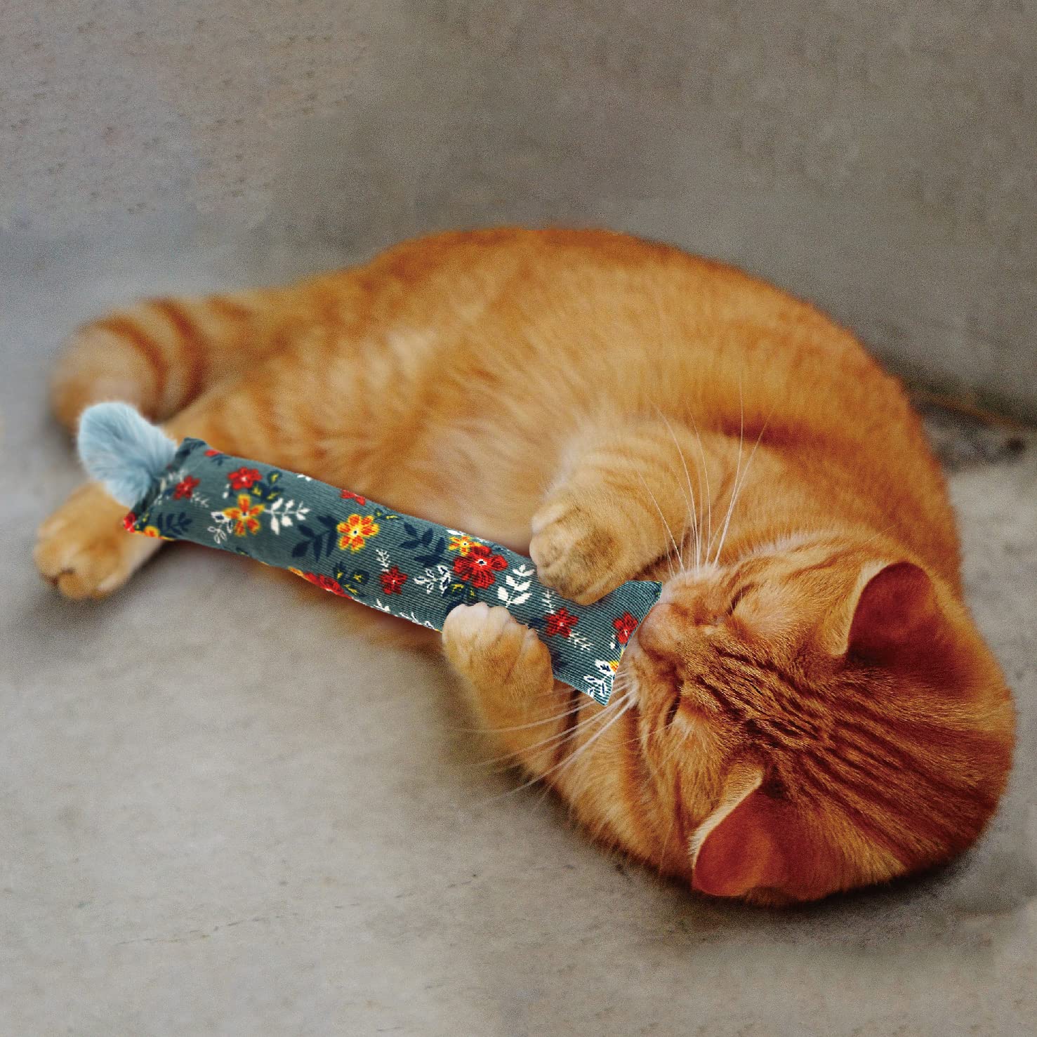 Jumpaws indoor cat playkit promotes exercise and boredom relief.