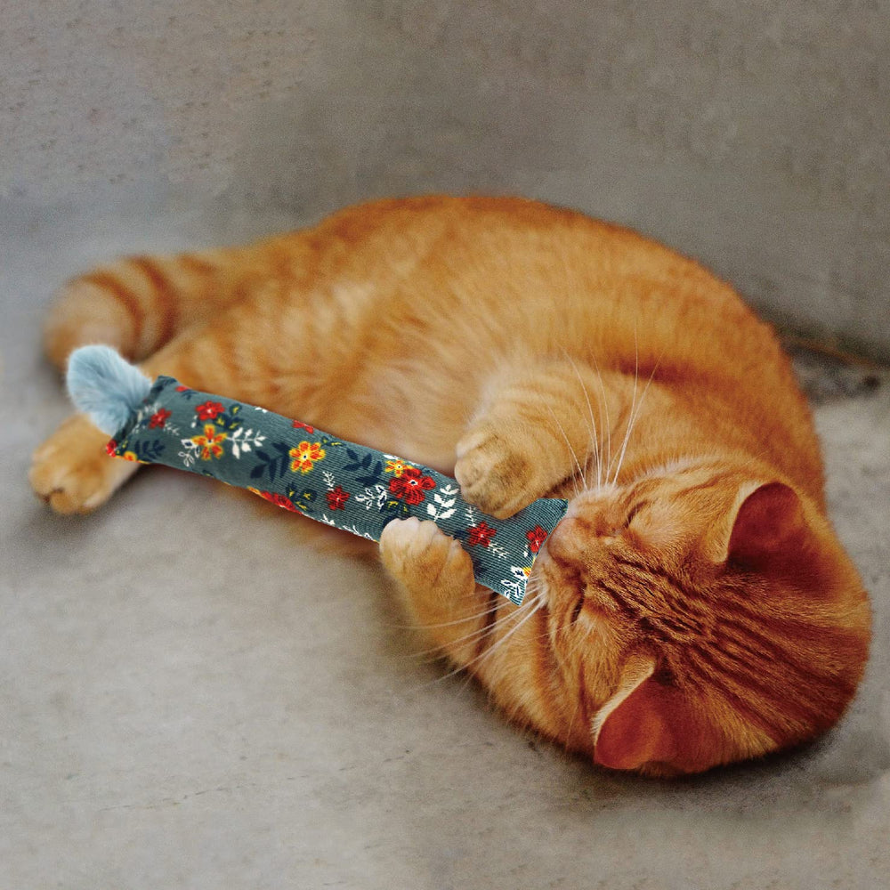 Jumpaws indoor cat playkit promotes exercise and boredom relief.