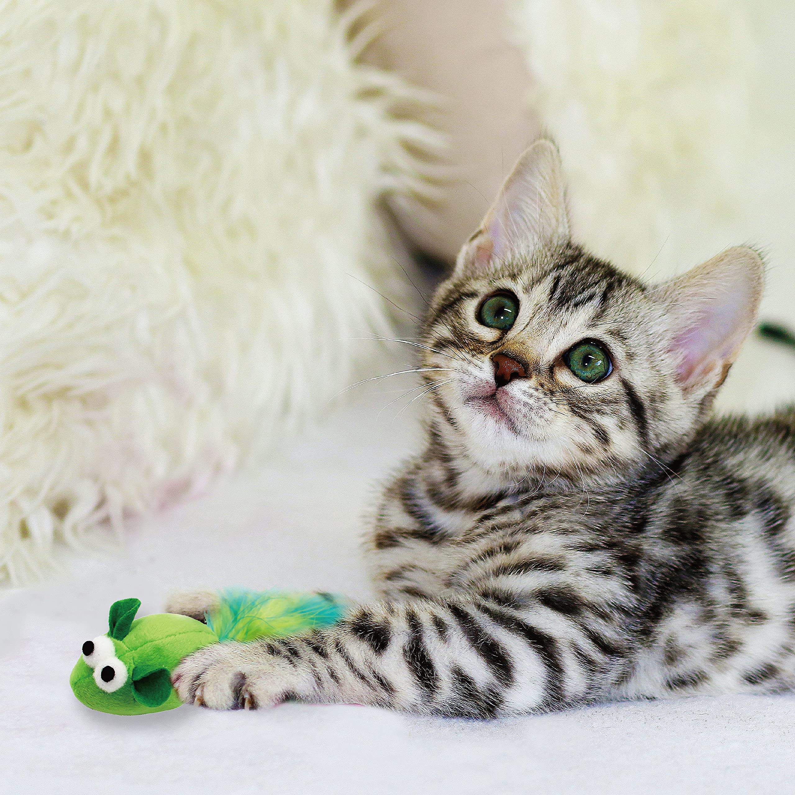 Jumpaws kitten-play with feathers safe, exploratory fun for young cats.