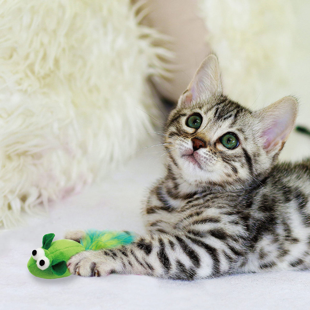 Jumpaws kitten-play with feathers safe, exploratory fun for young cats.