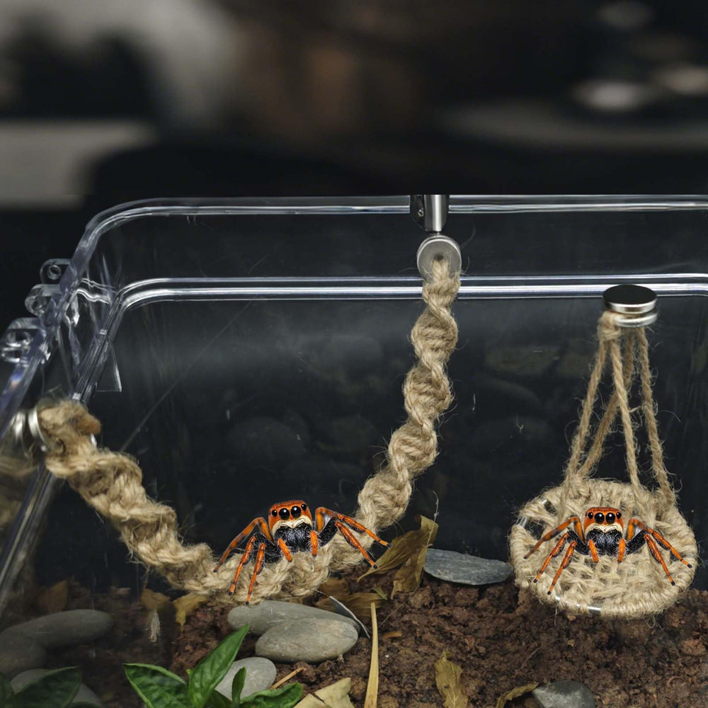 Jumping Spider Rope Bridge length of 24.5 cm for versatile setups.