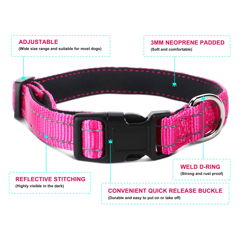 Jumpress 5ft padded-handle dog leash with secure grip.