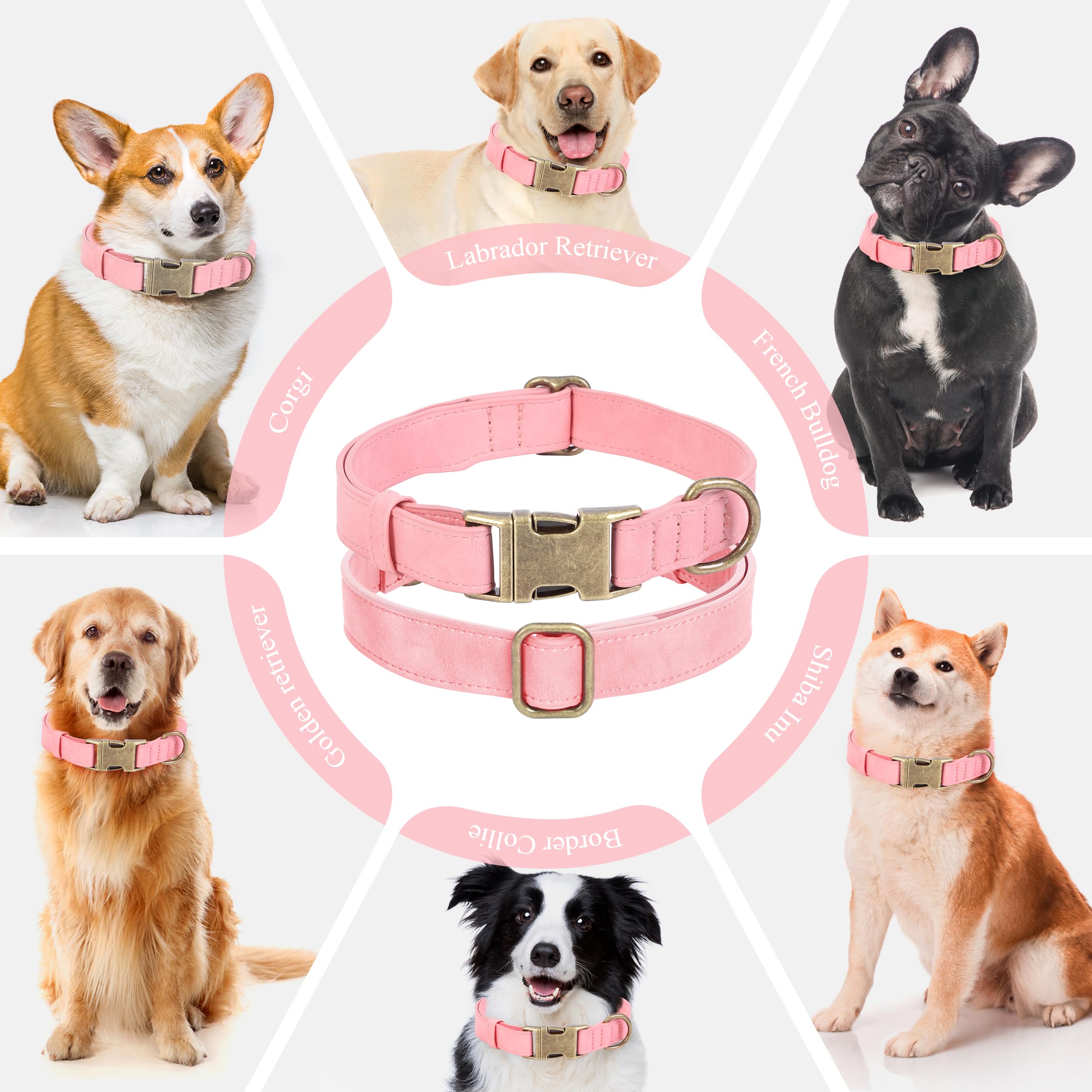 Jumpress dog collar welded D-ring closeup for secure leash attachment during walks