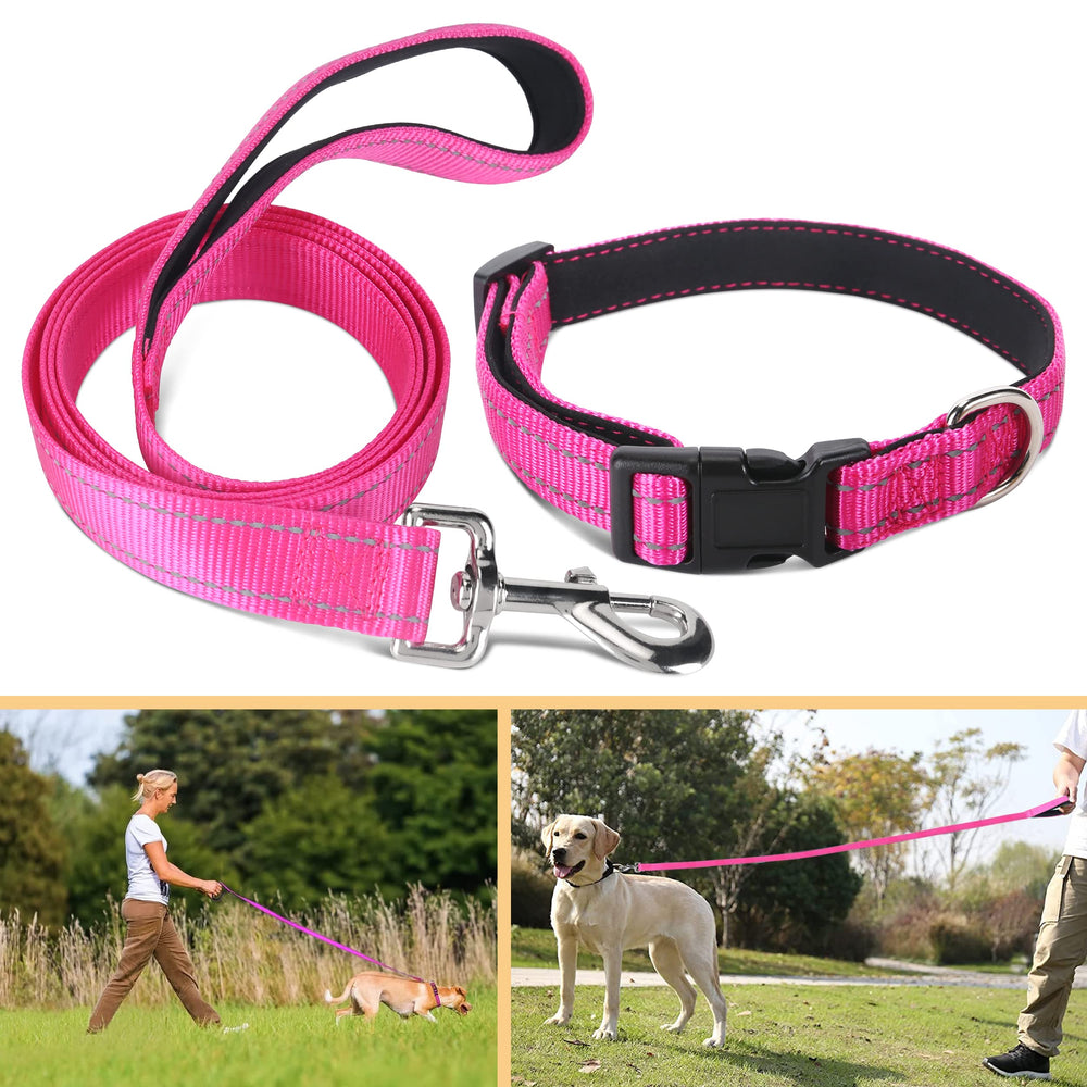 Jumpress hot pink collar and leash set for stylish everyday use.
