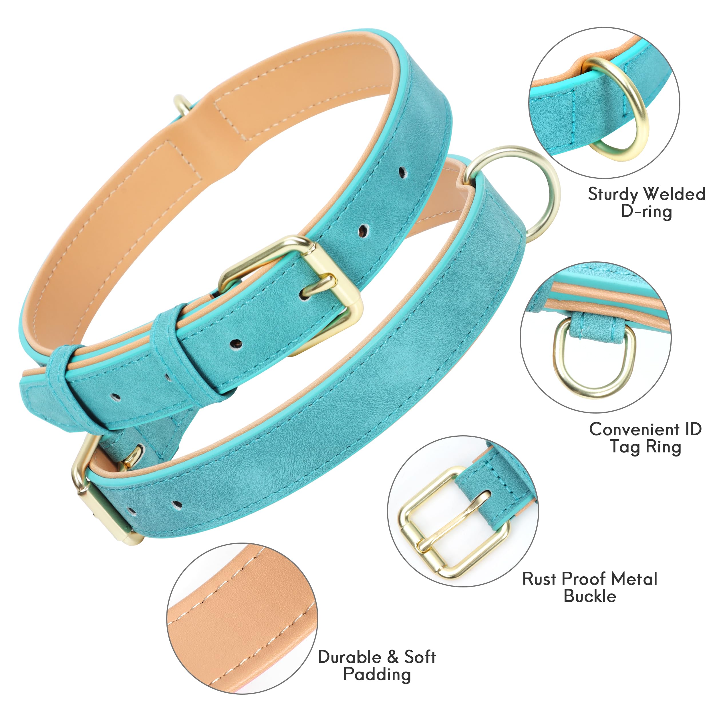 Jumpress collar with D-ring and tag ring for easy ID and leash use