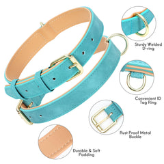 Jumpress collar with D-ring and tag ring for easy ID and leash use