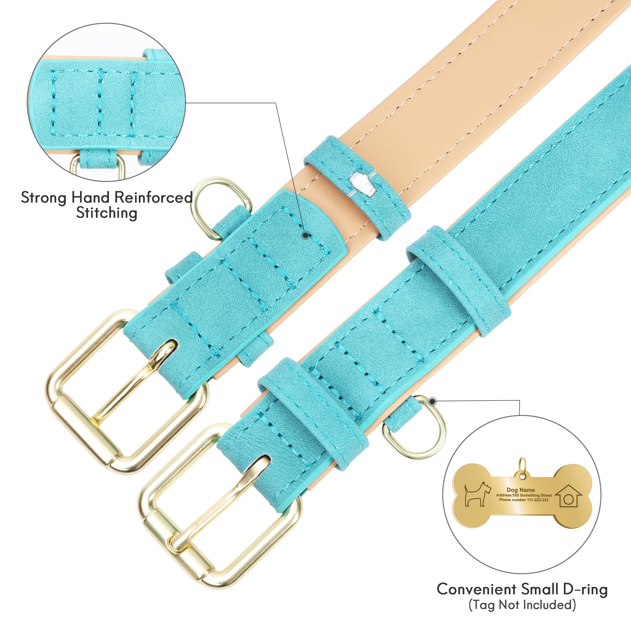 Jumpress leather dog collar on a dog during a daily walk