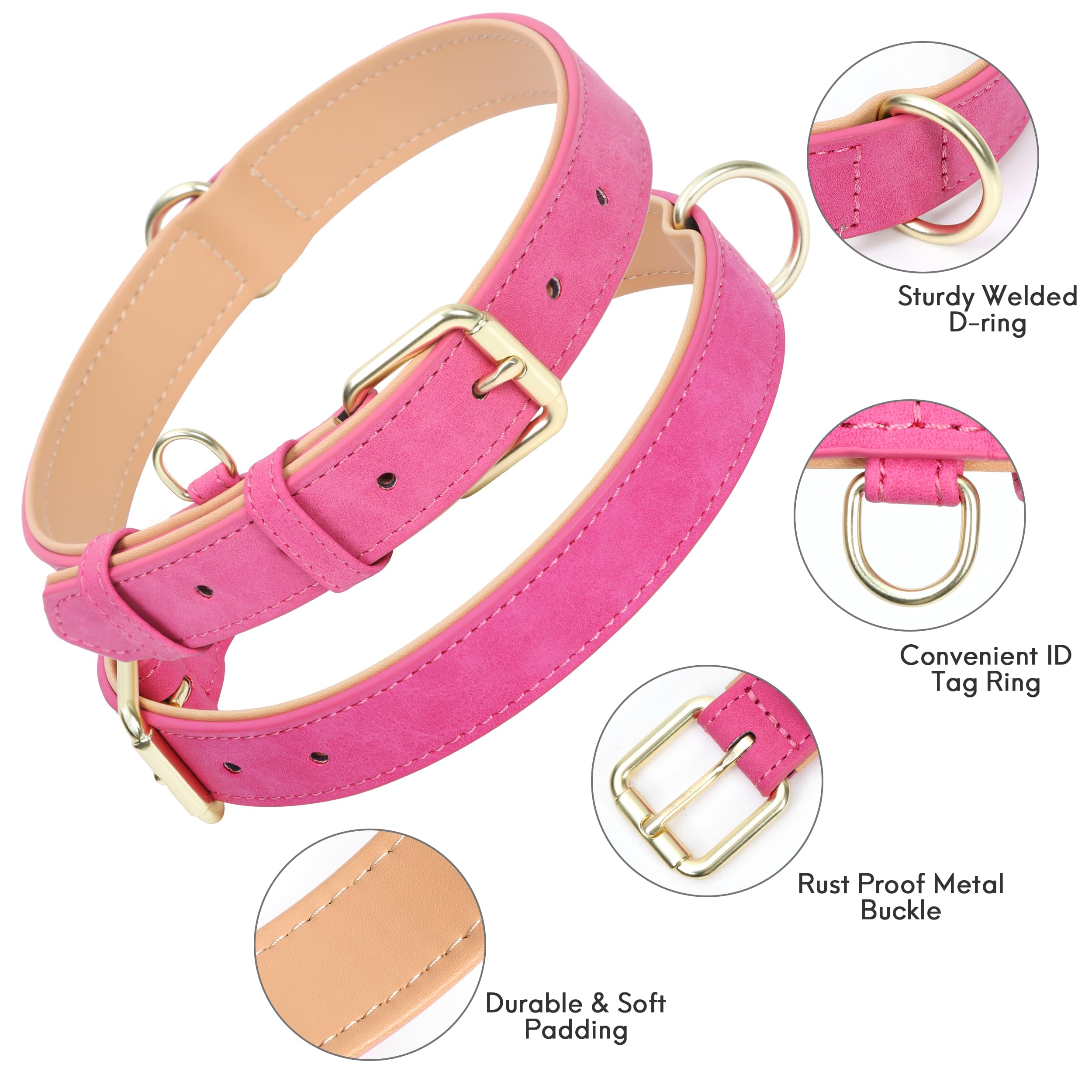 Jumpress Leather Dog Collar soft padding closeup for all-day comfort.