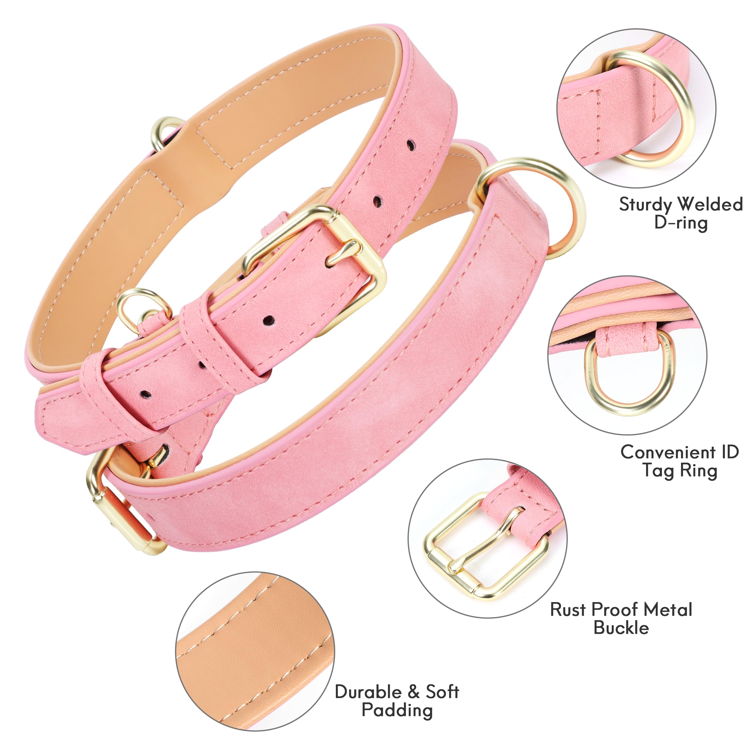Jumpress padded leather collar with D-ring and tag ring for secure leash and ID tagging.