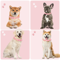 Jumpress pink collar highlights heavy-duty gold buckle for secure closure and style.