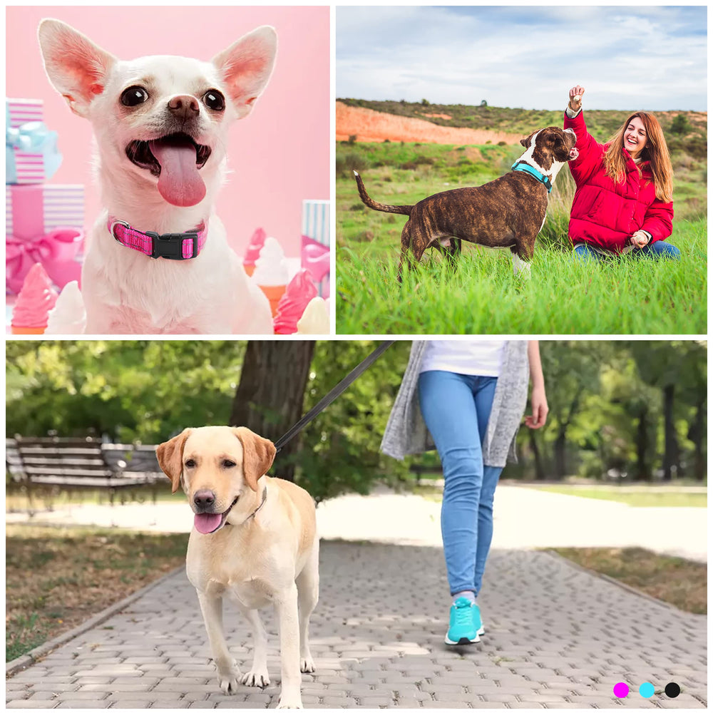 Jumpress leash rotating clasp prevents twisting for smoother walks.