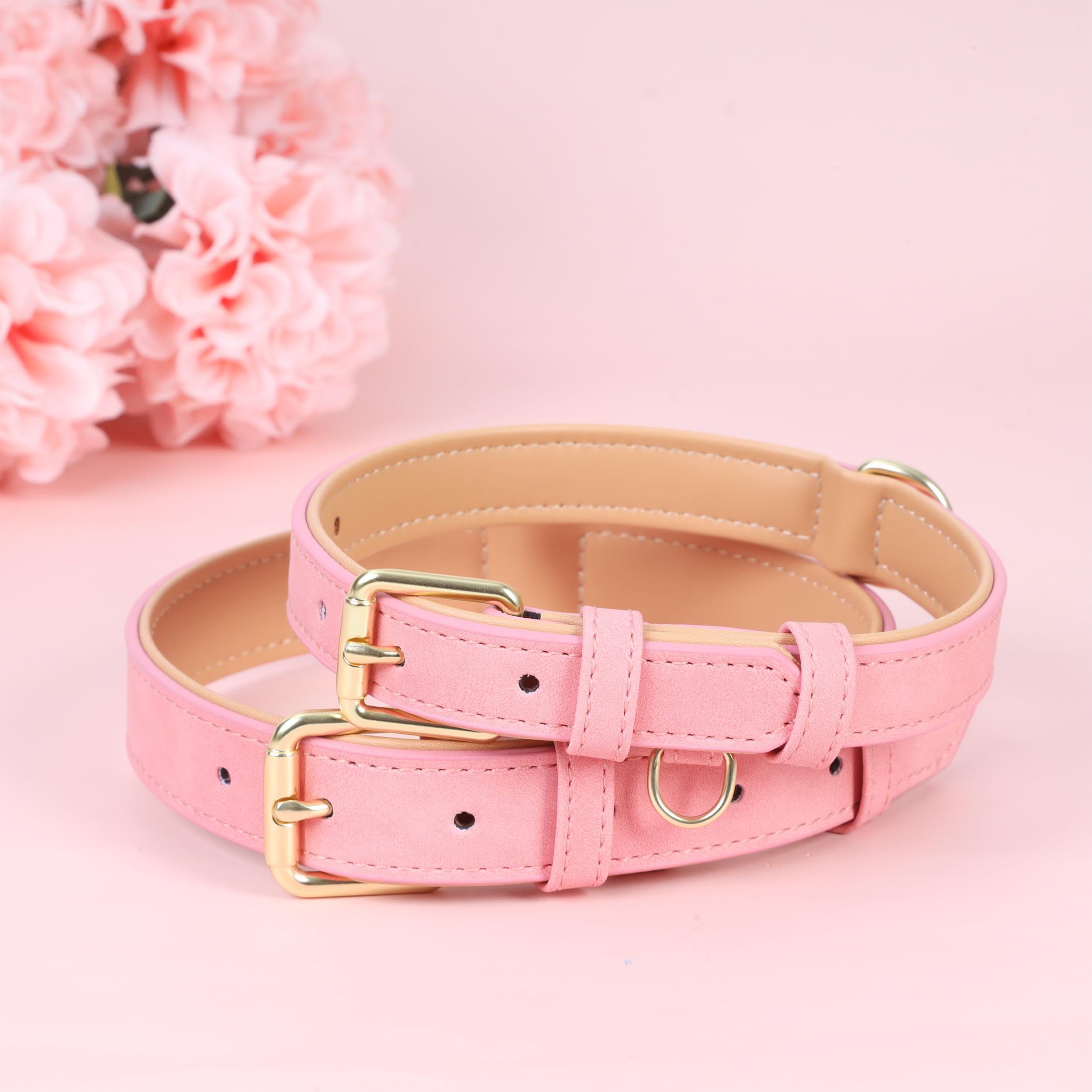 Jumpress XS leather collar fits small dogs with a snug, comfortable neck fit.