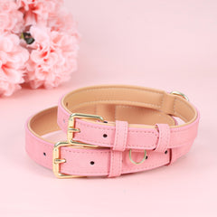 Jumpress XS leather collar fits small dogs with a snug, comfortable neck fit.