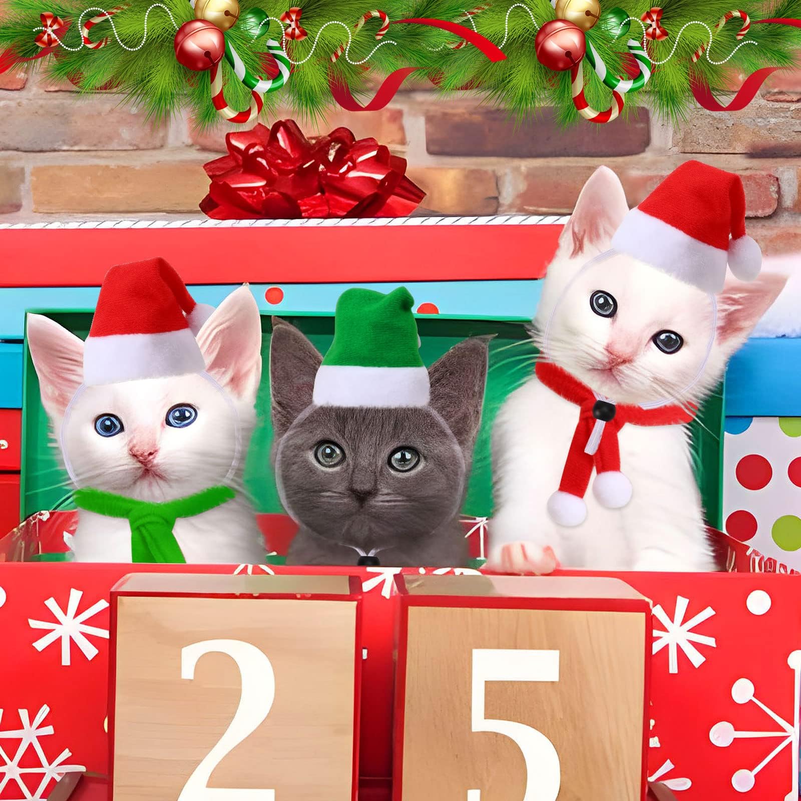 JUNEBRUSHS pet party decor set provides versatile decoration options.