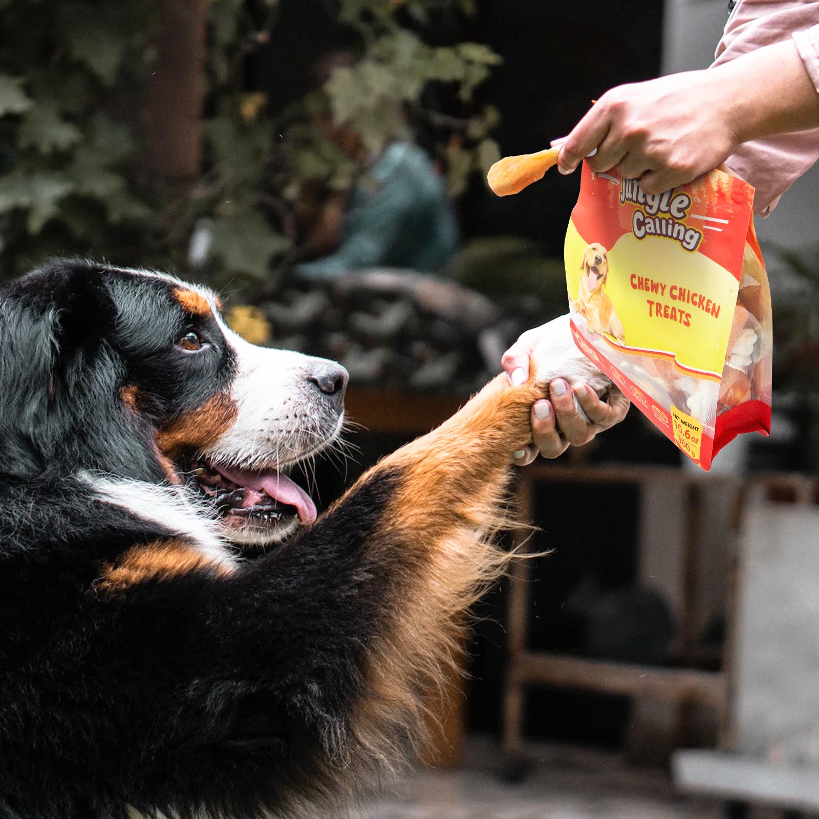 Jungle Calling serving-time shot with bite-sized chews ideal for quick rewards