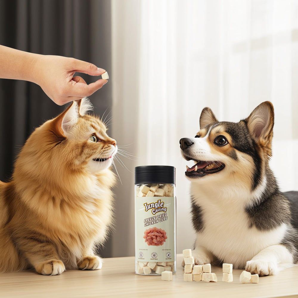 Jungle Calling chicken cubes in travel jar ideal for outings