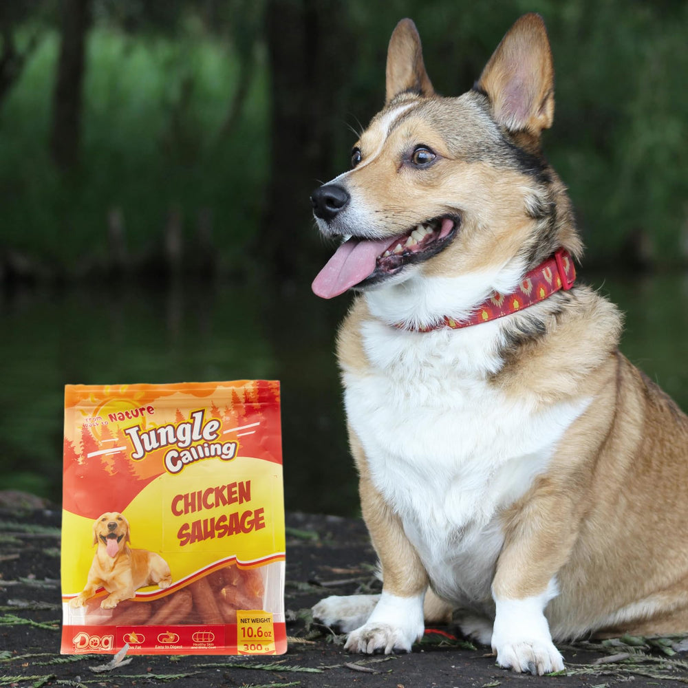 Family of dogs sharing Jungle Calling chicken sausage treats during play