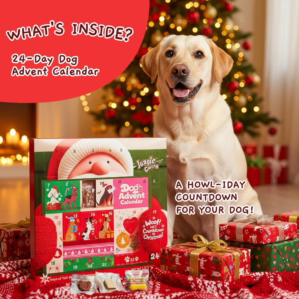 Jungle Calling dog advent calendar 2025 daily-surprises sheet highlights variety to keep dogs curious