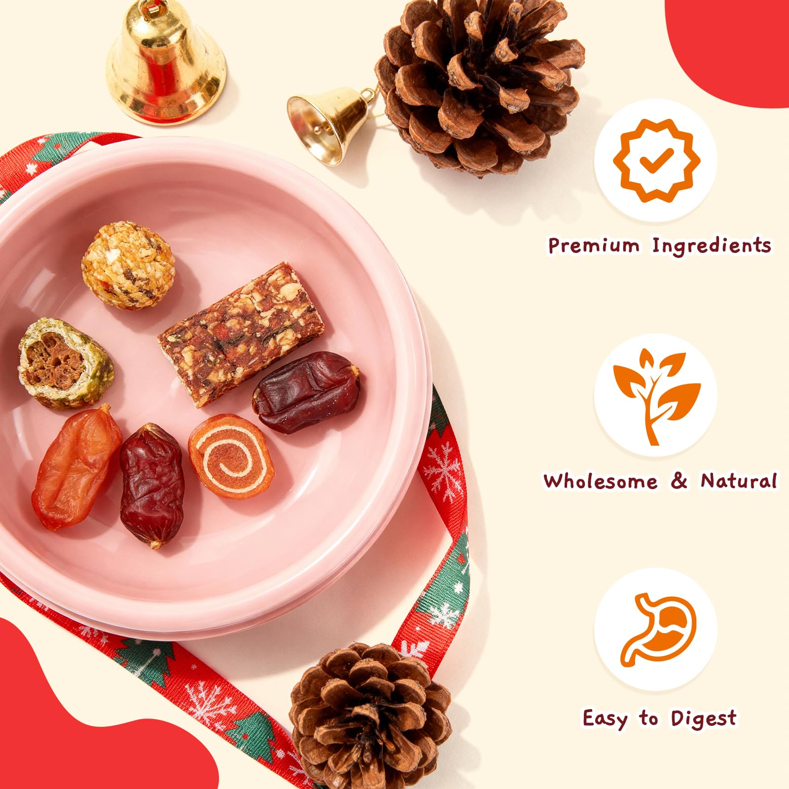 Jungle Calling dog advent calendar 2025 real meat ingredients highlight quality and flavor variety